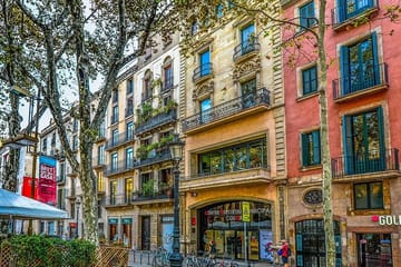 Guided Walking Tour of Barcelona's Gothic Quarter and Cathedral