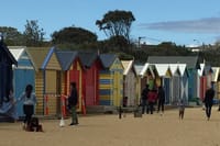 4 Hour Private Tour of Melbourne's Iconic Highlights with Guide  5