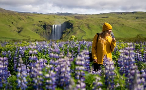 8-Day Self-Drive Tour of Iceland's Complete Circle