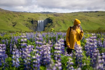 8-Day Self-Drive Tour of Iceland's Complete Circle