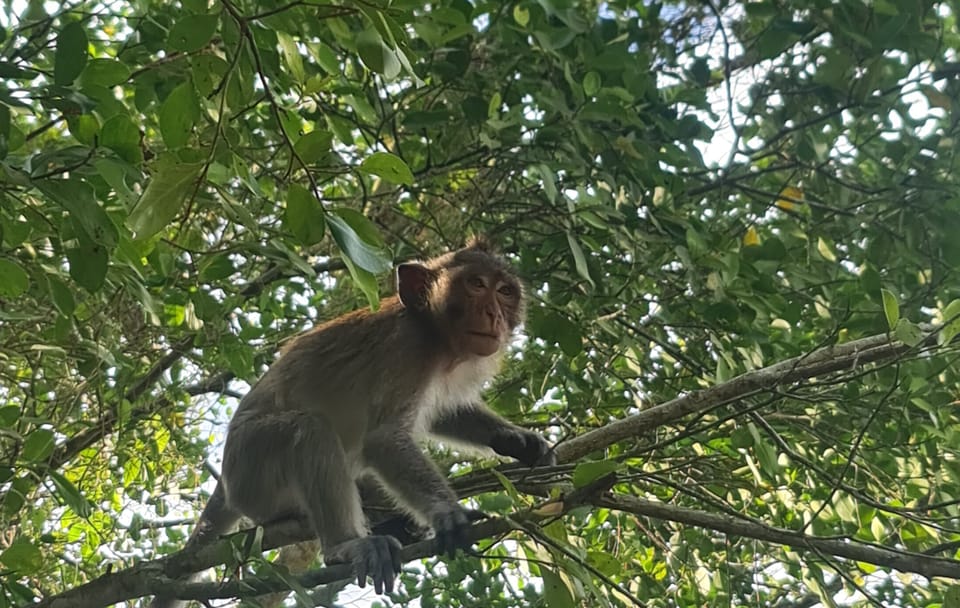 U Minh Thuong National Park Nature and Wildlife Tour