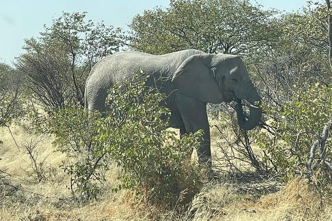 3 Days Etosha National Park Safaris 6