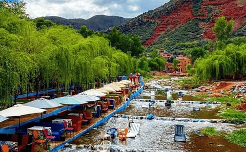 Discovering Ourika Valley and Atlas Mountains with a Local Guide