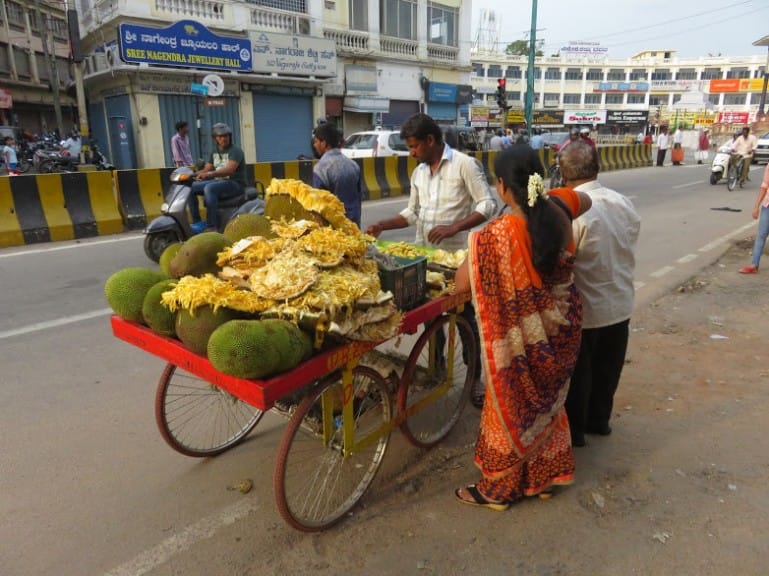 Mysore in a Day: Private Tour from Bangalore 9