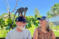 Damajagua Waterfalls and Monkey Private Van Tour 4