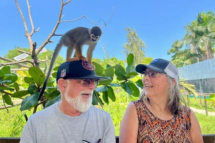 Damajagua Waterfalls and Monkey Private Van Tour