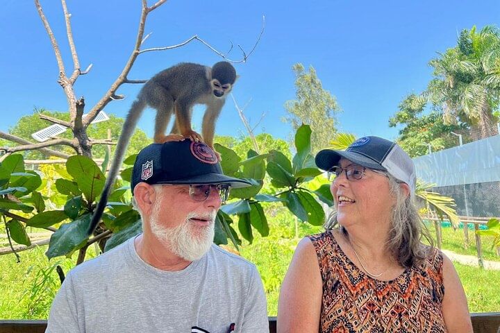 Damajagua Waterfalls and Monkey Private Van Tour