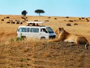 3-Day Maasai Mara Camping Safari 2