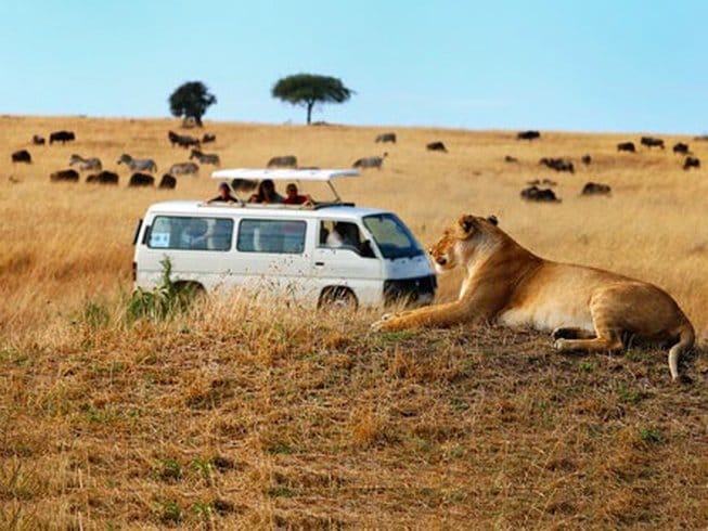 3-Day Maasai Mara Camping Safari photo 2