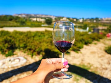Paphos Wine Tour: Vineyards and Tastings in Amargeti and Kathikas