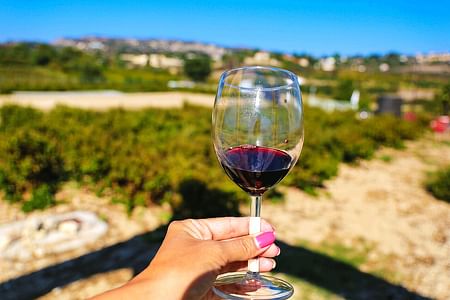 Paphos Wine Tour: Discover Local Wineries and Taste Authentic Cypriot Wines