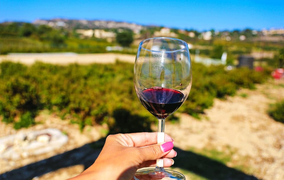 Paphos Wine Tour: Vineyards and Tastings in Amargeti and Kathikas
