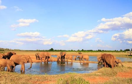 2-Day Wildlife Safari from Mombasa to Tsavo East National Park