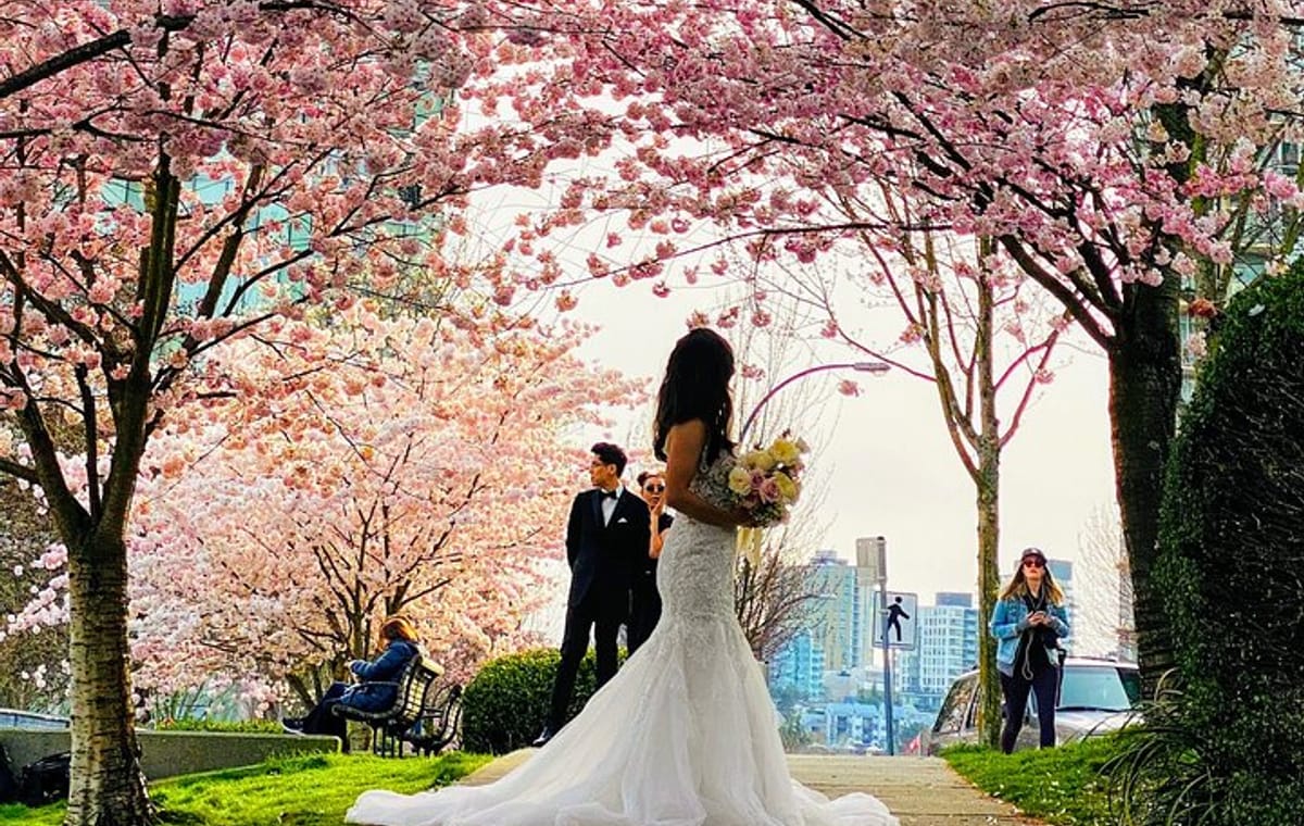 Vancouver City Tour with Cherry Blossom Festival Private