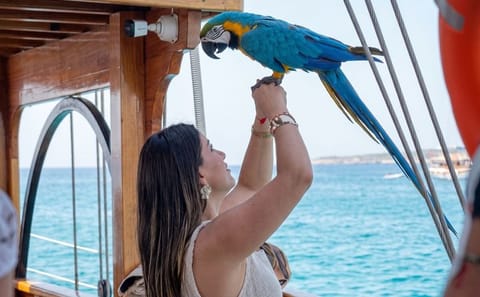 Antalya Pirate Boat Trip Foam Party with Lunch and Transfers