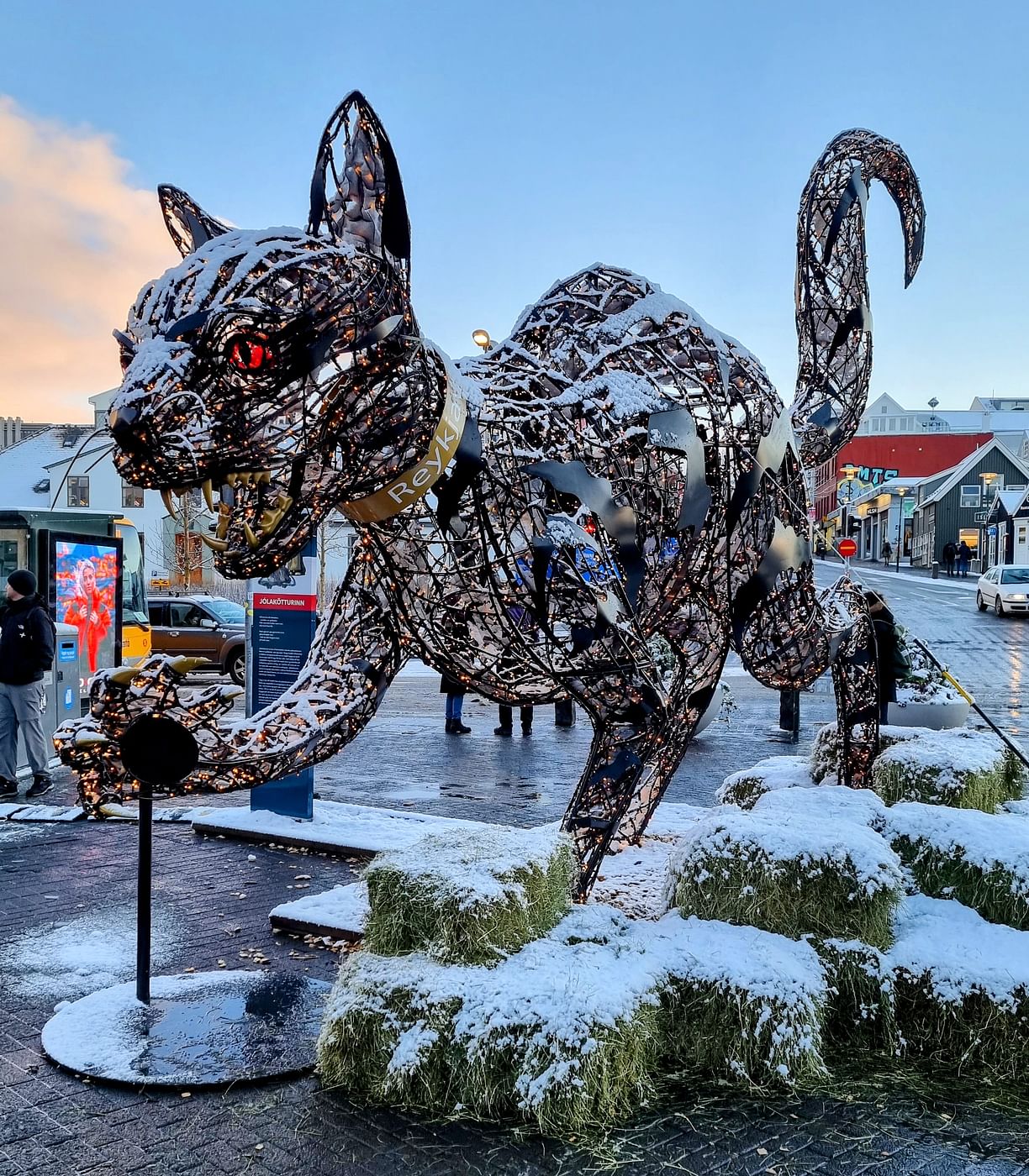 Reykjavik Cat Walk: A Purrfect Feline Adventure in Downtown Reykjavik