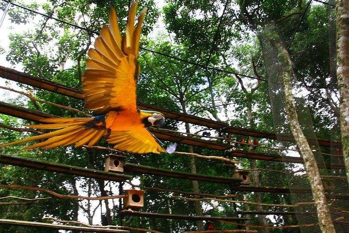Itaipu Dam & Bird Park & Iguassu Falls Brazilian Side Gran Meliá Iguazú 2