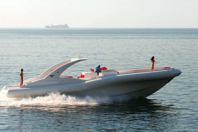 Luxury Opera 60 Whale & Dolphin Watching Experience  4