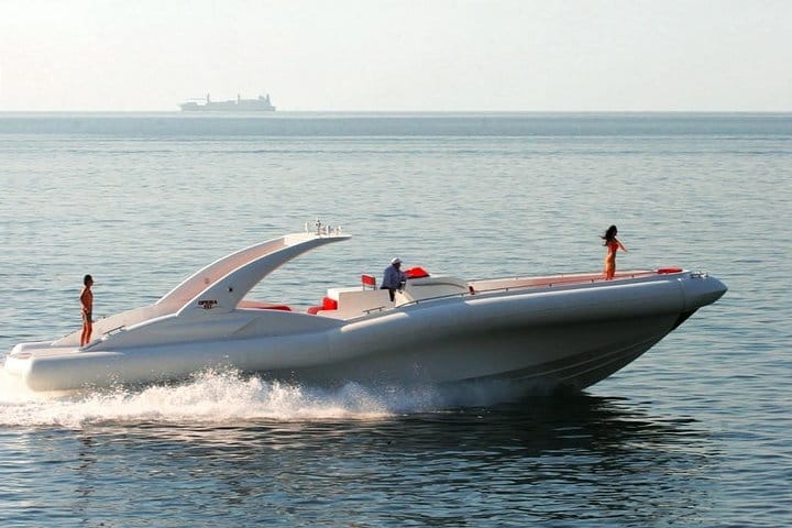 Luxury Opera 60 Whale & Dolphin Watching Experience  4
