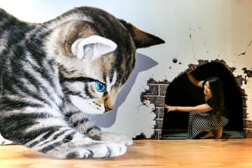 Art in Paradise, Chiang Mai 3D Art Museum