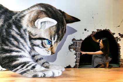 Art in Paradise, Chiang Mai 3D Art Museum