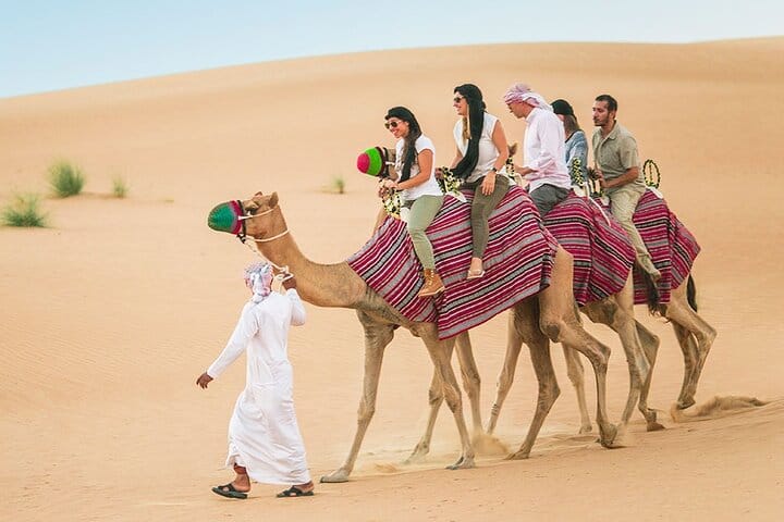 Camel ride