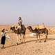 Agafay Desert Package, Quad Bike, Camel Ride and Dinner Show