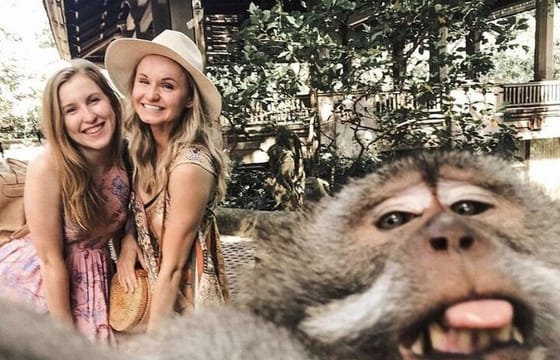 Ubud Skip the line Monkey Forest Sanctuary Ticket and Guided Tour