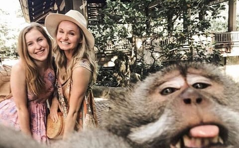 Guided Tour and Skip-the-Line Ticket to Ubud Monkey Forest