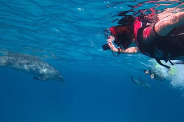 Snorkeling Tour with Dolphins in Hurghada, Egypt