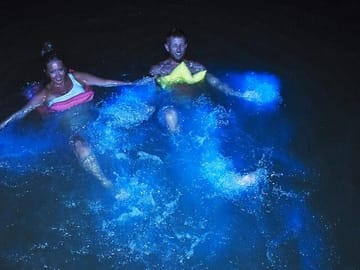 Luminous Lagoon Bioluminescent Boat Tour in Falmouth, Jamaica