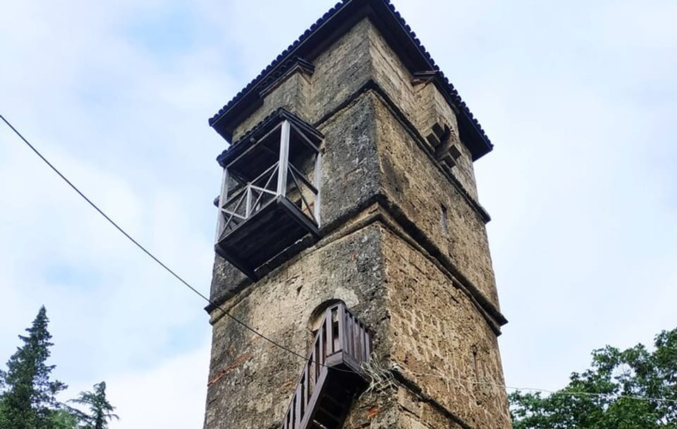 Kolkheti Nature and Culture Tour from Tbilisi to Poti