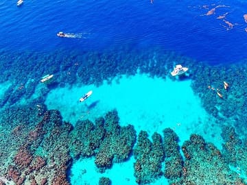 Snorkeling and Cultural Tour in West Bay, Honduras