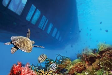 Hurghada Submarine Cruise with Snorkeling Experience