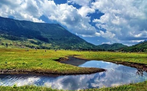 Wenhai Alpine Lake Trekking Day Tour in Lijiang with Naxi Lunch