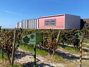Lisbon's Northern Region Wine Tasting Private Tour 1