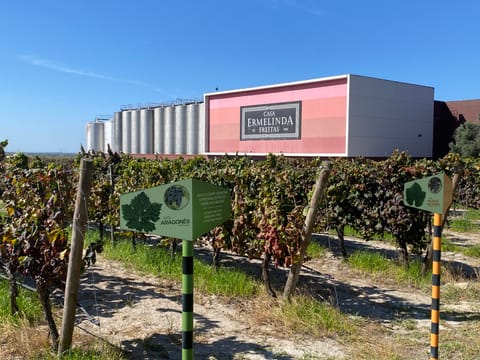 Lisbon's Northern Region Wine Tasting Private Tour