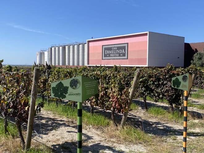Lisbon's Northern Region Wine Tasting Private Tour