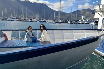 Private Tour of Cape Point, Hout Bay, and Penguins