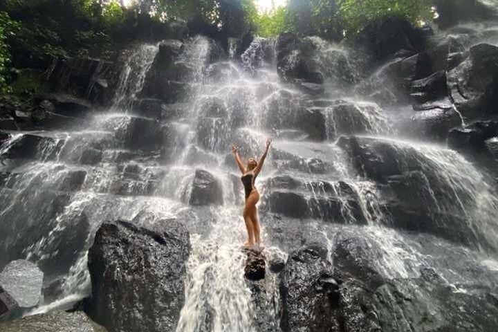 Best of Ubud: Waterfall - Jungle Swing - Rice Terrace 7