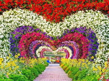 Explore the Dubai Miracle Garden: The World's Largest Flower Garden