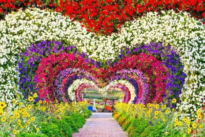 Dubai : Miracle Garden, The World’s Largest Flower Paradise