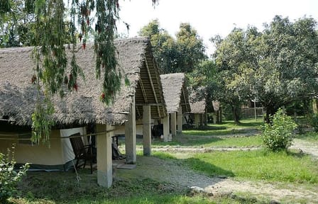 Koshi Tappu Aqua Birds Watching Camp – 4 Days beyond the experience
