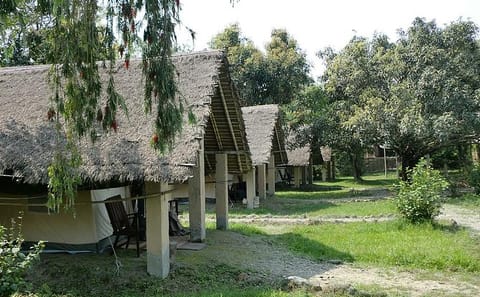 Koshi Tappu Birdwatching Camp: 4-Day Nature Experience in Nepal