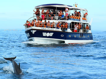 Whale Watching Tour in Mirissa from Negombo