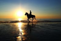 Horse Riding Tour Two Hours Sun &amp; Sea With Transfer - Hurghada