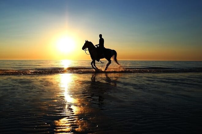 Horse Riding Tour Two Hours Sun &amp; Sea With Transfer - Hurghada