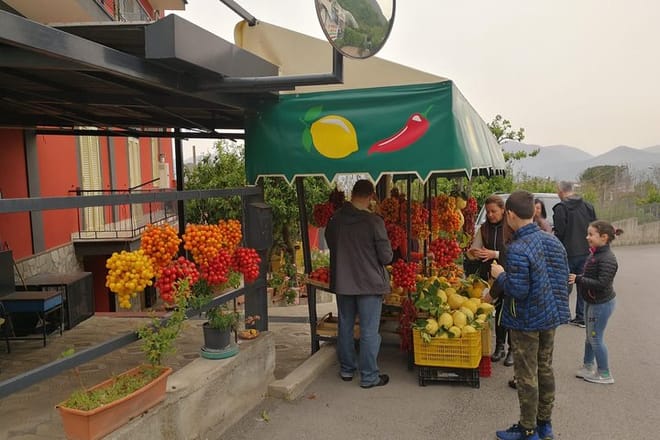 Tour Vietri, Amalfi, Positano (8 hours) 9