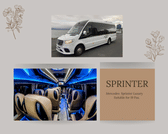 Private Blue Lagoon transfer with 3h wait - Sprinter 19 Pax  4
