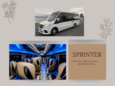 Private Blue Lagoon transfer with 3h wait - Sprinter 19 Pax , photo 4